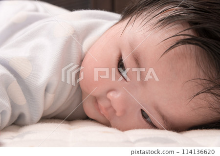 [Baby lie face down] 114136620