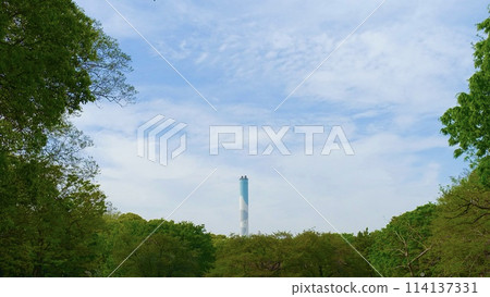 煙囪和藍天在綠色森林裡 煙囪和藍天在綠色森林裡 114137331