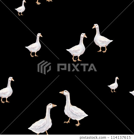 Watercolor seamless pattern with goose farm bird. Tender watercolor illustration on a isolated on background. Domestic white and gray watercolor cute farm bird. Hand drawn illustration farm birds. Watercolor seamless pattern with goose farm bird. Tender watercolor illustration on a isolated on background. Domestic white and gray watercolor cute farm bird. Hand drawn illustration farm birds. 114137615