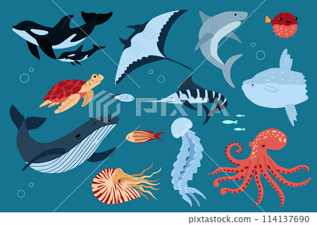 Fish and wild marine animals are isolated on white background. Inhabitants of the sea world, cute, funny underwater creatures. Flat cartoon illustration 114137690
