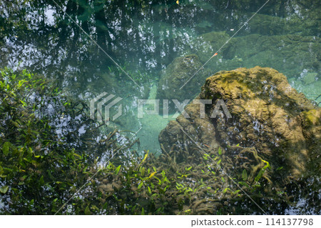 Transparent green and blue stream the tree roots and rocks under the water. Thapom Klong Song Nam in Krabi, Thailand Transparent green and blue stream the tree roots and rocks under the water. Thapom Klong Song Nam in Krabi, Thailand 114137798