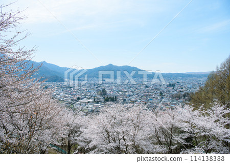 Spring view from Arakurayama Sengen Park Spring view from Arakurayama Sengen Park 114138388