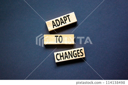 Adapt to changes symbol. Concept words Adapt to changes on wooden blocks. Beautiful black table black background. Business and Adapt to changes quote concept. Copy space. 114138498