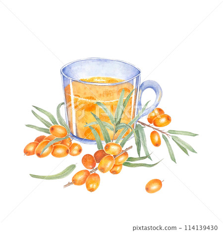 Sea buckthorn branch with orange berries. Branch with Fresh ripe berries and leaves. Hand drawn watercolor illustration isolated on white background.  114139430