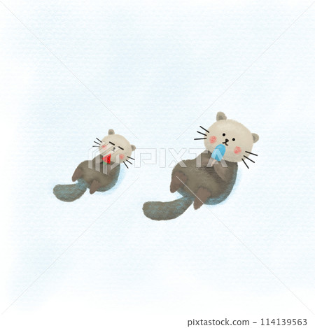 Sea otter illustration Sea otter illustration 114139563