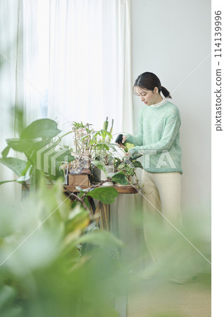 一名 20 多歲的女性正在照顧室內植物 114139996