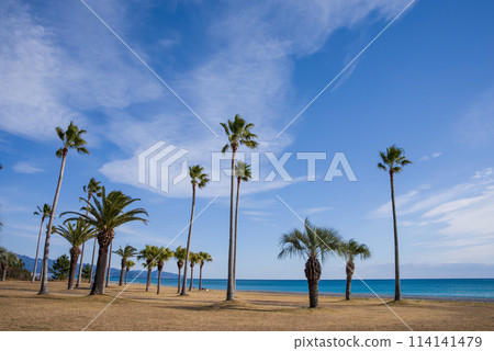 Shichirimihama Fureai Beach (Mie Prefecture, Kumano Sea) 114141479