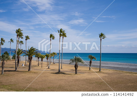 七裡見浜交流海灘（三重縣熊野灘） 114141492