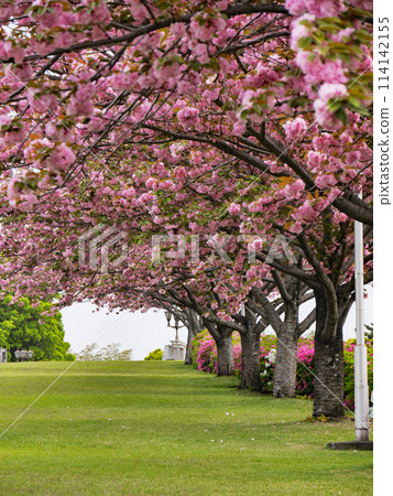 公園長廊 公園長廊 114142155