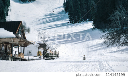 white dog in mountain valley. Dog rescuer in snow snow-capped mountains download 114142199