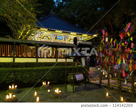 瑞鳳殿（瑞鳳殿七夕夜）[宮城縣仙台市] 114142203