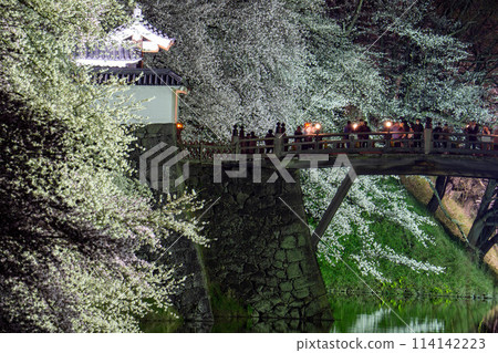 Cherry blossoms at Kasumi Park 114142223