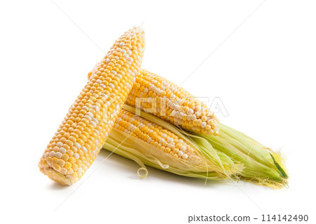 Several ears of sweet corn isolated on a white background. . Several ears of sweet corn isolated on a white background. . 114142490