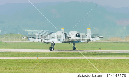 美國空軍 A-10A Thunderbolt II 著陸 114142578