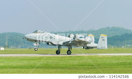 美國空軍 A-10A Thunderbolt II 著陸 美國空軍 A-10A Thunderbolt II 著陸 114142586
