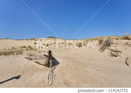 Lithuanian dunes sandy grass and clear sky 114142731