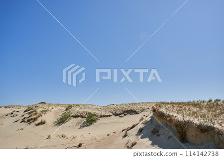 Lithuanian dunes sandy grass and clear sky 114142738