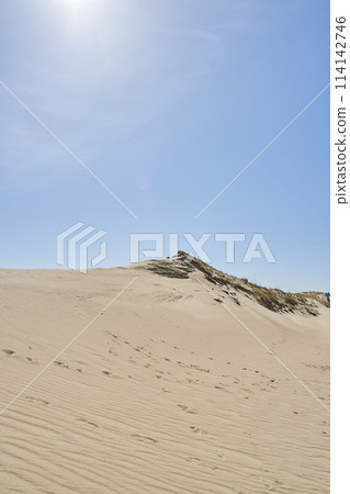 Lithuanian dunes sandy grass and clear sky 114142746
