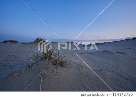 evening dunes Lithuania landscape image 114142780