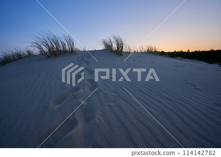 evening dunes Lithuania landscape image 114142782