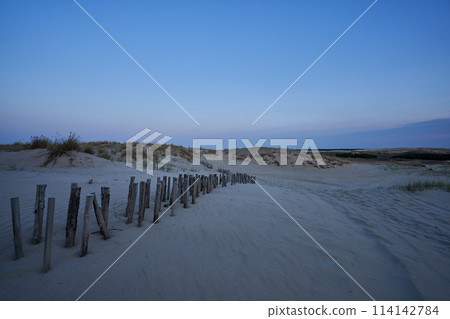 evening dunes Lithuania landscape image 114142784