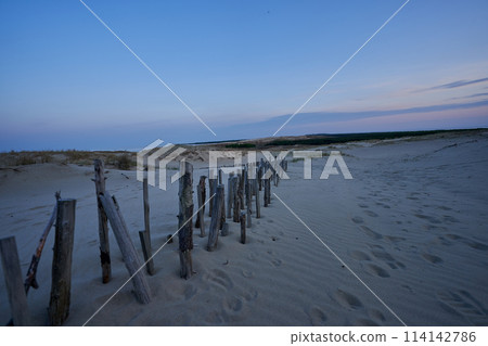evening dunes Lithuania landscape image 114142786
