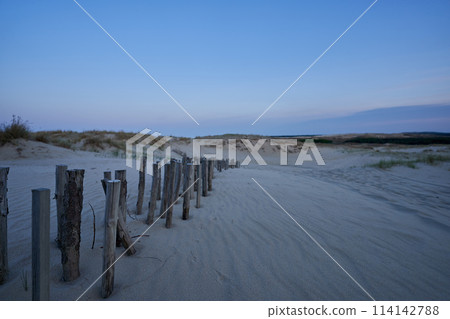 evening dunes Lithuania landscape image 114142788
