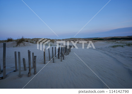 evening dunes Lithuania landscape image 114142790