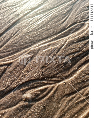 Beach sand texture close up Beach sand texture close up 114142841
