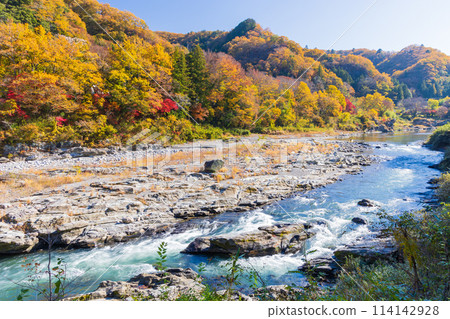 Autumn in Nagatoro, Saitama: Autumn leaves at their best in the Arakawa River, Kotaki-no-se Autumn in Nagatoro, Saitama: Autumn leaves at their best in the Arakawa River, Kotaki-no-se 114142928