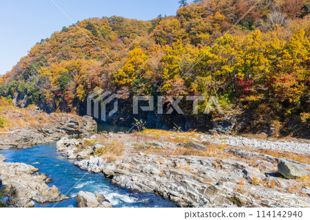 Autumn in Nagatoro, Saitama: Autumn leaves at their best in the Arakawa River, Kotaki-no-se Autumn in Nagatoro, Saitama: Autumn leaves at their best in the Arakawa River, Kotaki-no-se 114142940