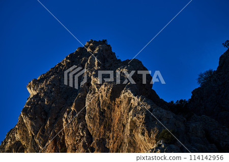 Spain Andalucia spring surrounding lonely tree mountains clouds tunnel 114142956