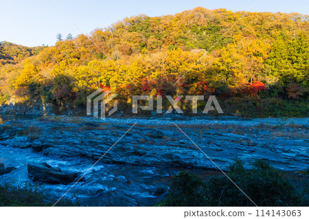Autumn in Nagatoro, Saitama: Autumn leaves at their best on the Arakawa River, and the rapids of a small waterfall at dusk Autumn in Nagatoro, Saitama: Autumn leaves at their best on the Arakawa River, and the rapids of a small waterfall at dusk 114143063