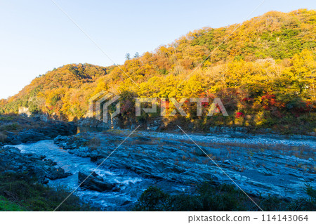 Autumn in Nagatoro, Saitama: Autumn leaves at their best on the Arakawa River, and the rapids of a small waterfall at dusk Autumn in Nagatoro, Saitama: Autumn leaves at their best on the Arakawa River, and the rapids of a small waterfall at dusk 114143064