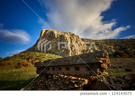 Spain Andalucia spring surrounding lonely tree mountains clouds tunnel 114143075