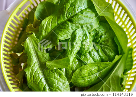 Eco veg growing  114143119