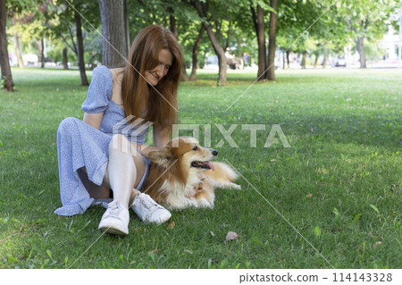 beautiful corgi dog and girl beautiful corgi dog and girl 114143328