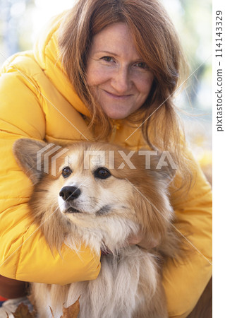beautiful corgi dog and girl beautiful corgi dog and girl 114143329