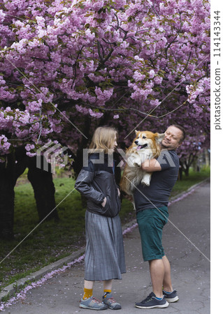 beautiful corgi dog and his owners beautiful corgi dog and his owners 114143344