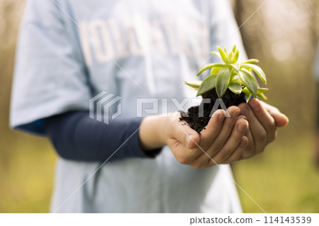 Young volunteer holding a small green sprout in her hands, symbolizing natural environment conservation and growth. Little girl working on preserving the forest habitat, save the planet. Close up. Young volunteer holding a small green sprout in her hands, symbolizing natural environment conservation and growth. Little girl working on preserving the forest habitat, save the planet. Close up. 114143539
