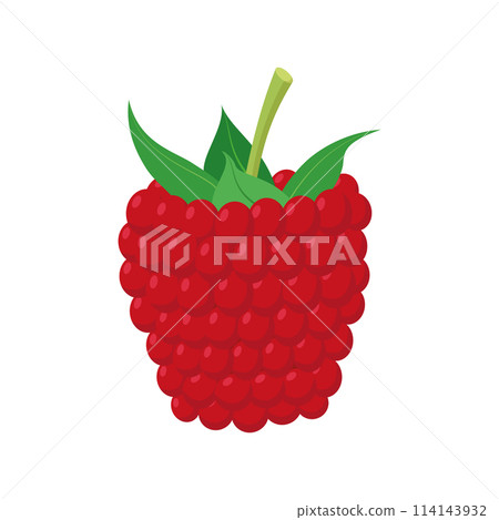 Vector illustration of a funny raspberry in cartoon style. 114143932