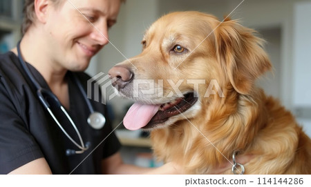 Veterinarian examining a dog in a veterinary clinic. Veterinarian with a dog. 114144286