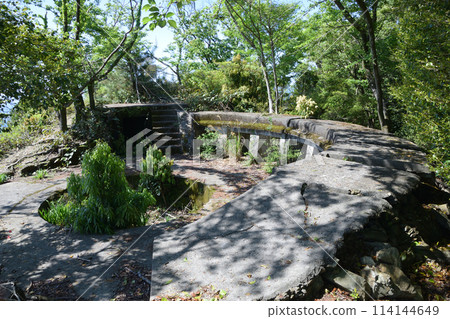 Senzaki Battery Remains 114144649