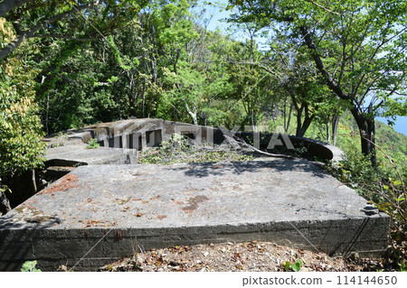 Senzaki Battery Remains 114144650
