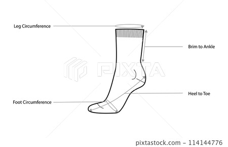 Diagrams of sock measurements with text names. Hosiery Fashion accessory clothing technical illustration stocking 114144776