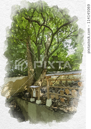 Watercolor painting style: Tsurusaki Shrine, Matchmaking Tree, Hayashima Town, Tsukuba District, Okayama Prefecture 114145069