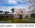 Scenery of Odawara: Odawara Castle with cherry blossoms in full bloom 114145168
