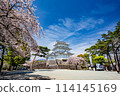 Scenery of Odawara: Odawara Castle with cherry blossoms in full bloom 114145169