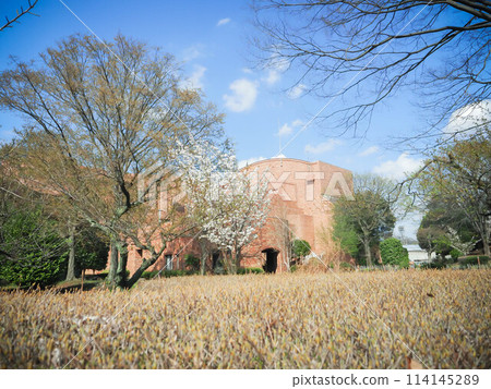 Brick building in the park Brick building in the park 114145289