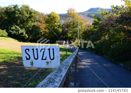 The road to Rokkozaki Lighthouse on the Noto Peninsula 114145783
